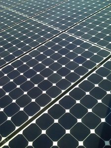 Sedumdak met zonnepanelen close up