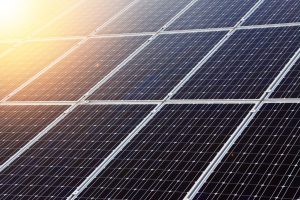 Sedumdak met zonnepanelen